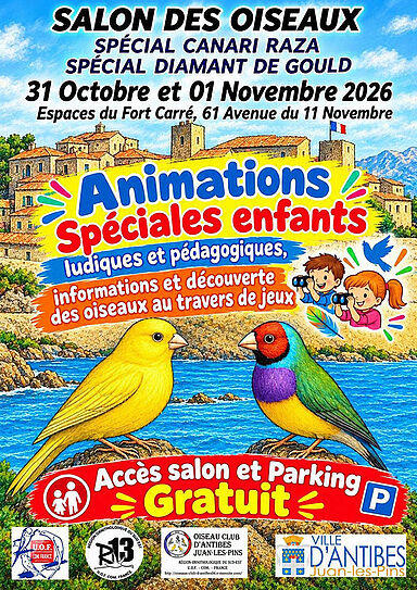 Agrandir l'image (fenêtre modale)
