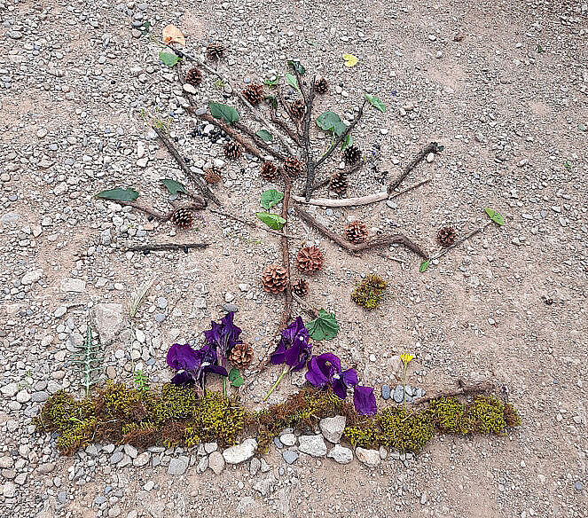 Agrandir l'image (fenêtre modale)