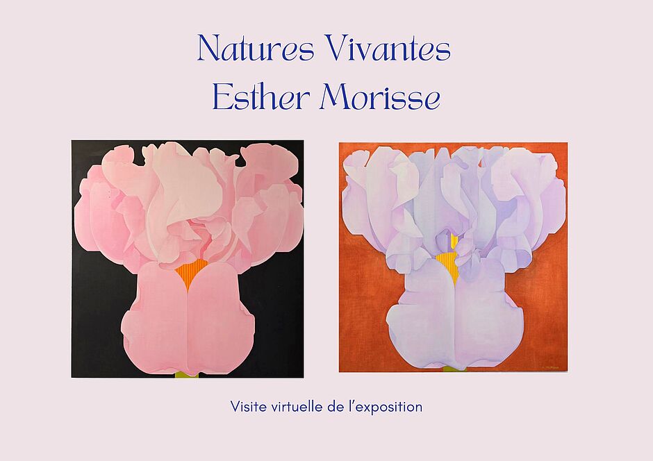 Agrandir l'image (fenêtre modale)