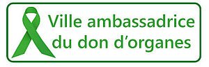 Agrandir l'image (fenêtre modale)