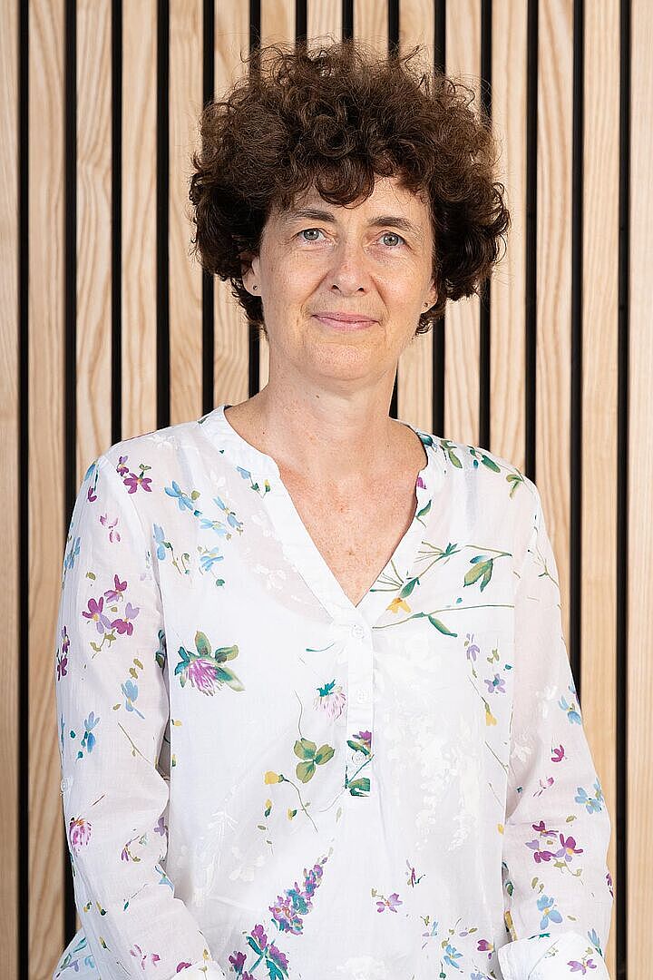 Agrandir l'image (fenêtre modale)