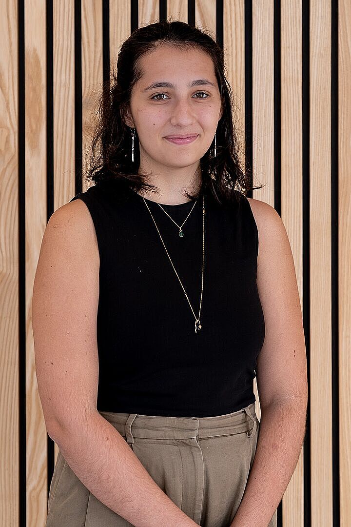 Agrandir l'image (fenêtre modale)