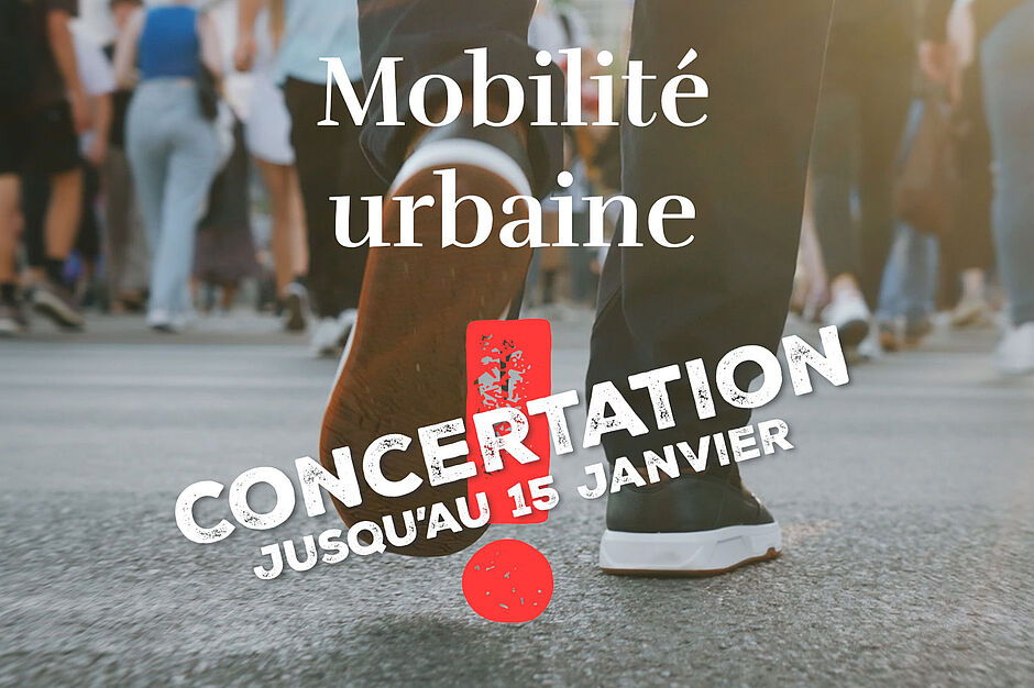 Agrandir l'image (fenêtre modale)