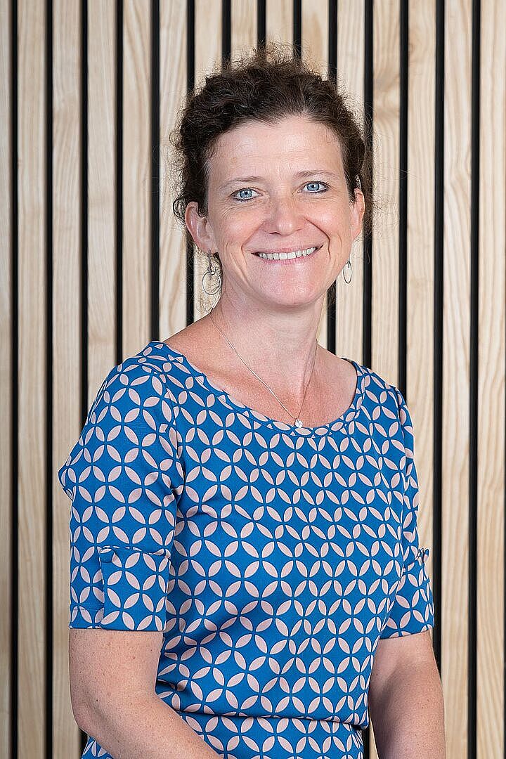 Agrandir l'image (fenêtre modale)