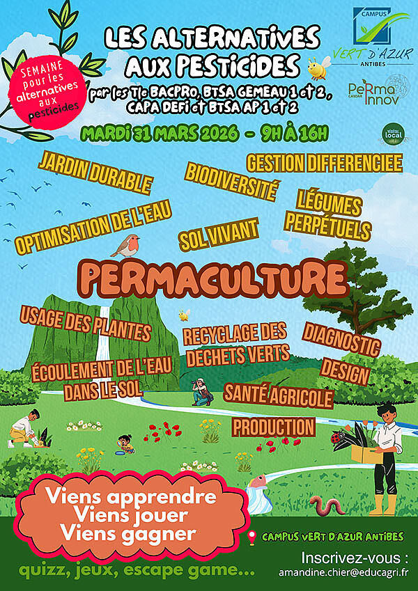 Agrandir l'image (fenêtre modale)