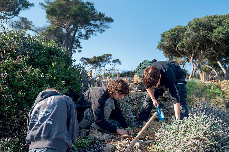 Agrandir l'image (fenêtre modale)