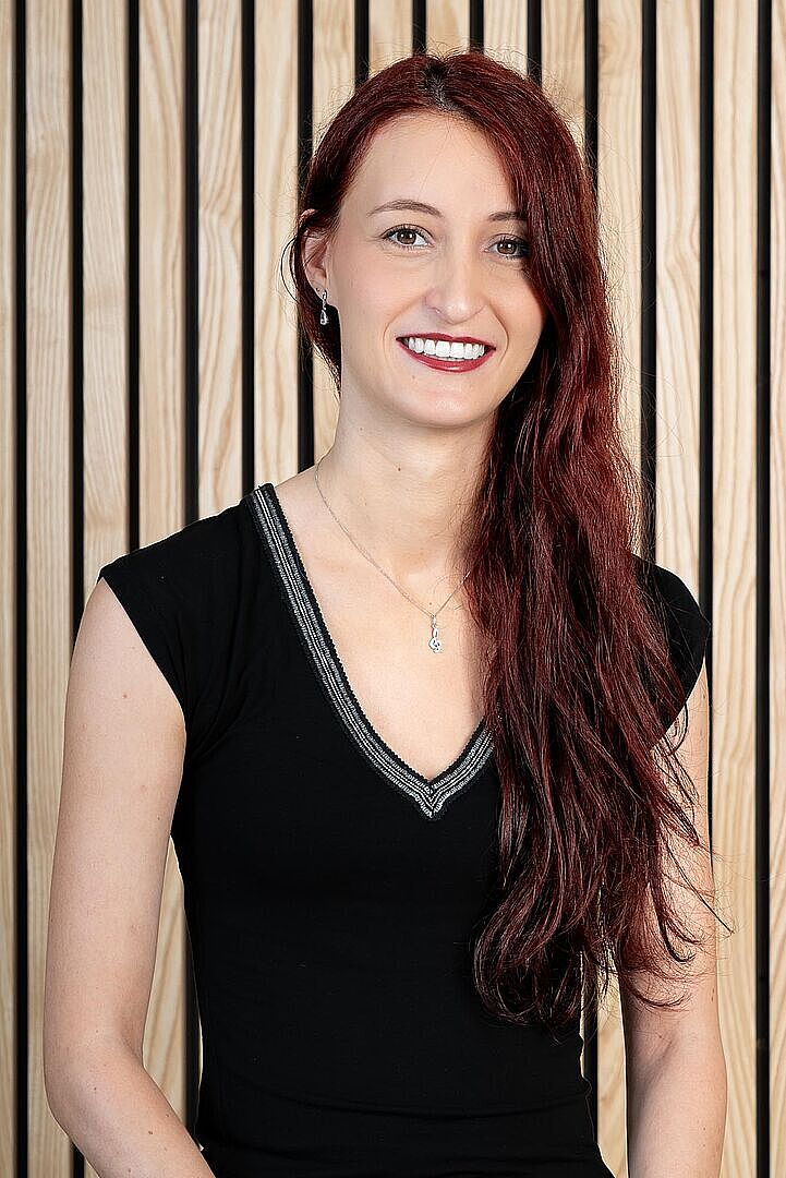 Agrandir l'image (fenêtre modale)