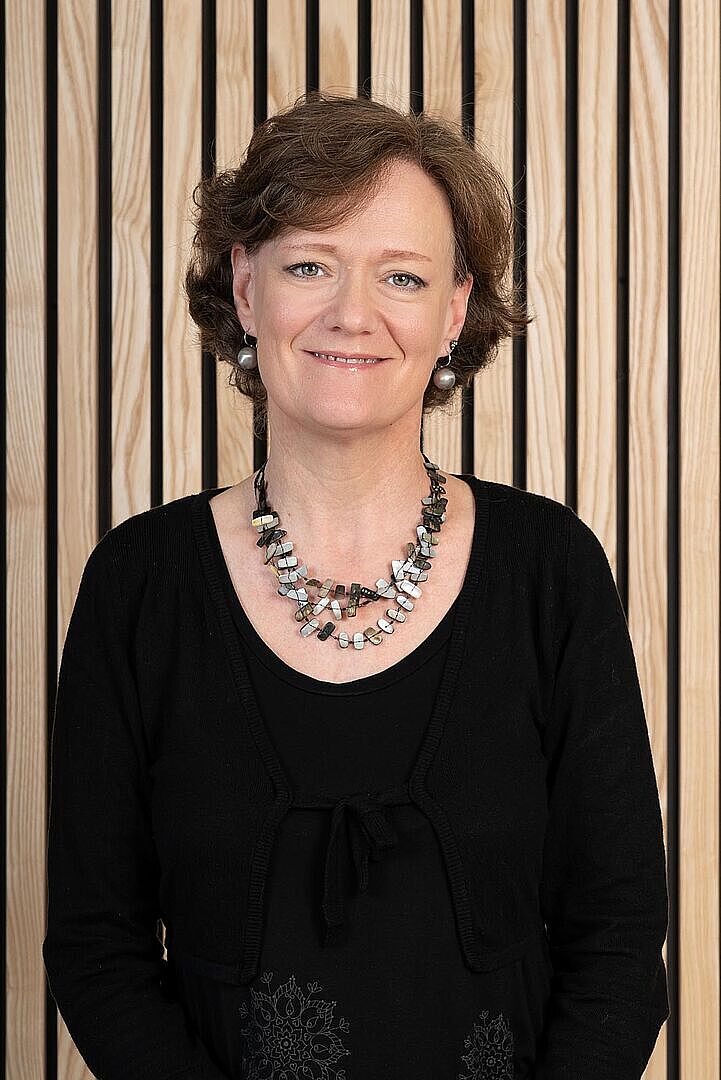 Agrandir l'image (fenêtre modale)