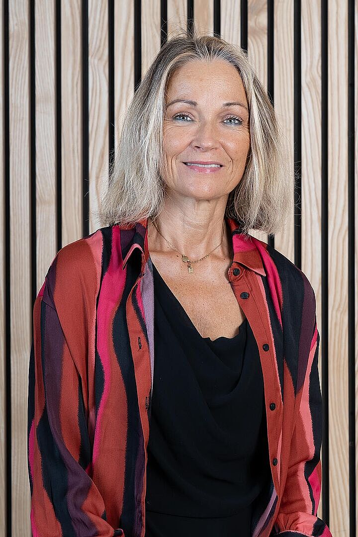 Agrandir l'image (fenêtre modale)