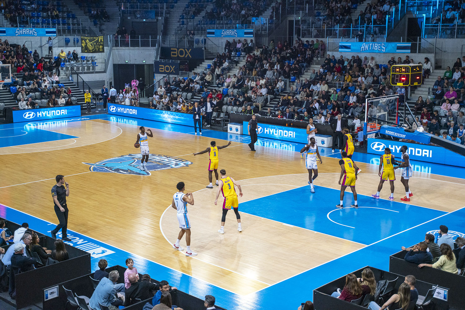 Championnat de France Elite 2 - Antibes Sharks vs Denain