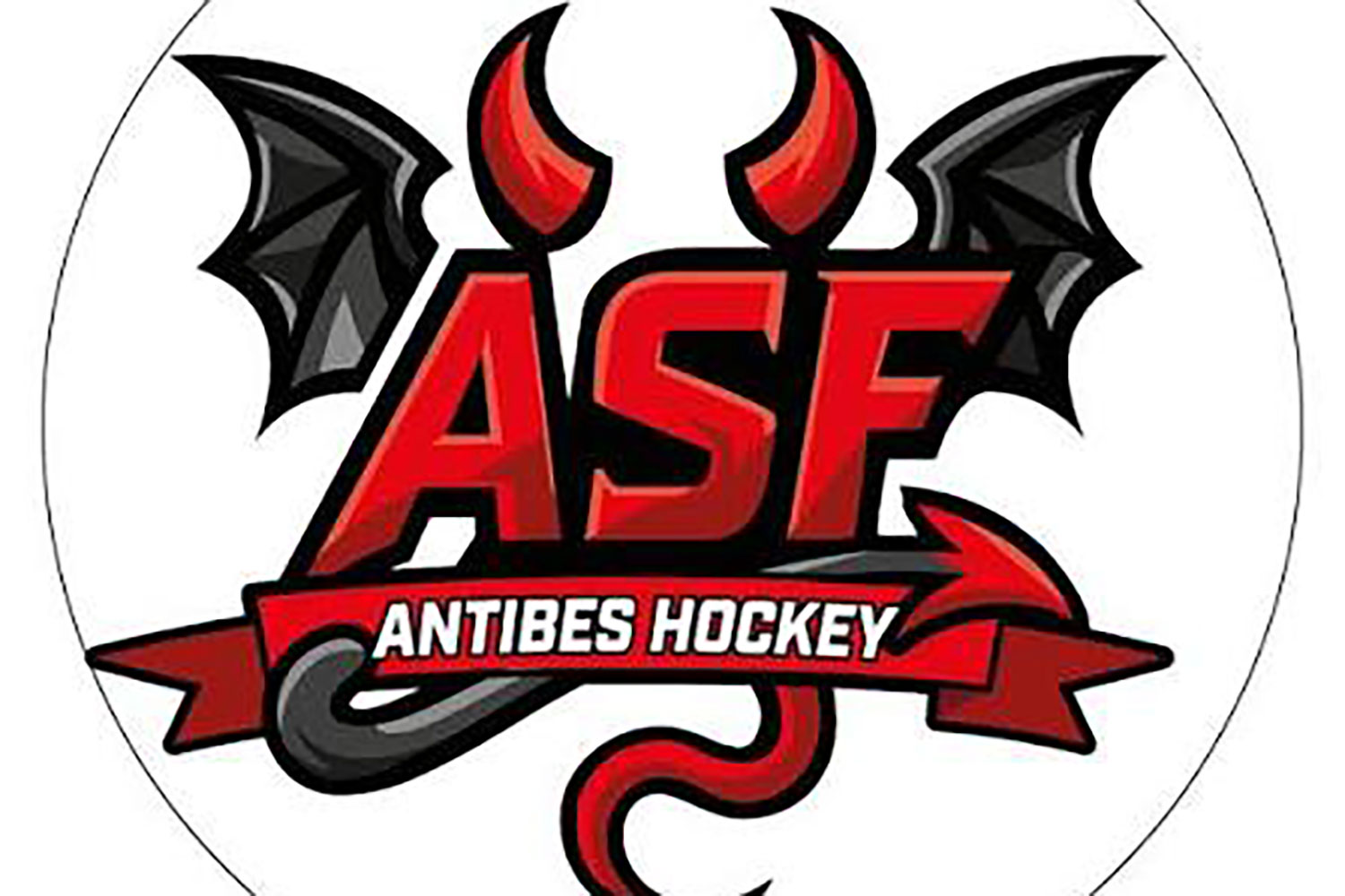 Hockey sur gazon N2 masculine - ASF vs Salon HC